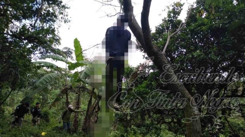 LO ASESINAN COLGÁNDOLO DE UN ÁRBOL