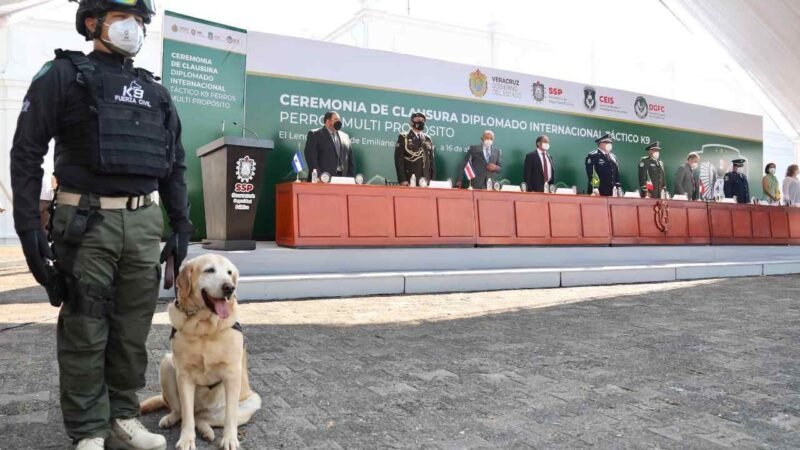 CONCLUYE DIPLOMADO DE UNIDADES CANINAS K-9