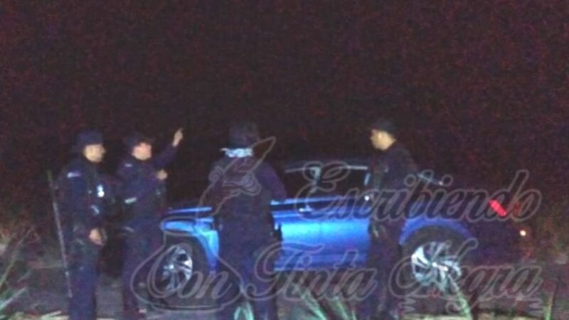 ROBAN JETTA A MANO ARMADA