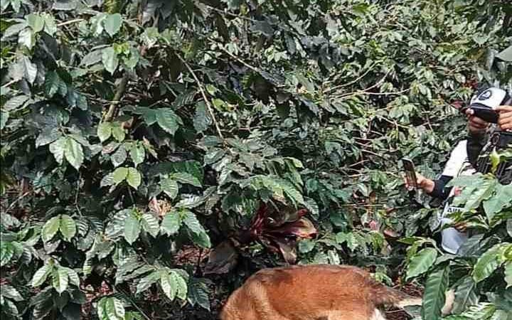ENCUENTRAN TRES NUEVAS FOSAS EN CAMPO GRANDE, IXTAC