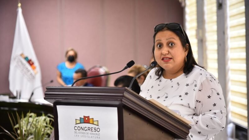 PIDE DIPUTADA CREACIÓN DE COMISIÓN INTERINSTITUCIONAL DE ATENCIÓN AL TEA
