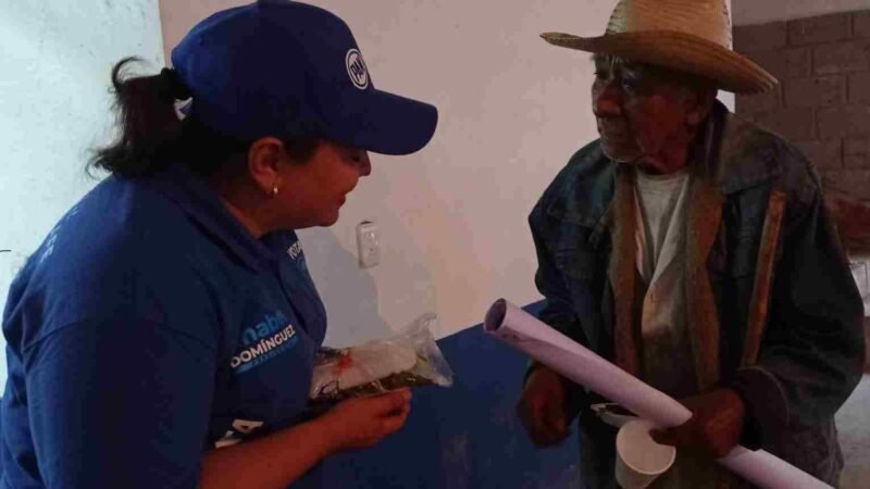 HABRÁ GOBIERNO DIRECTO E ITINERANTE; ANABEL DOMÍNGUEZ