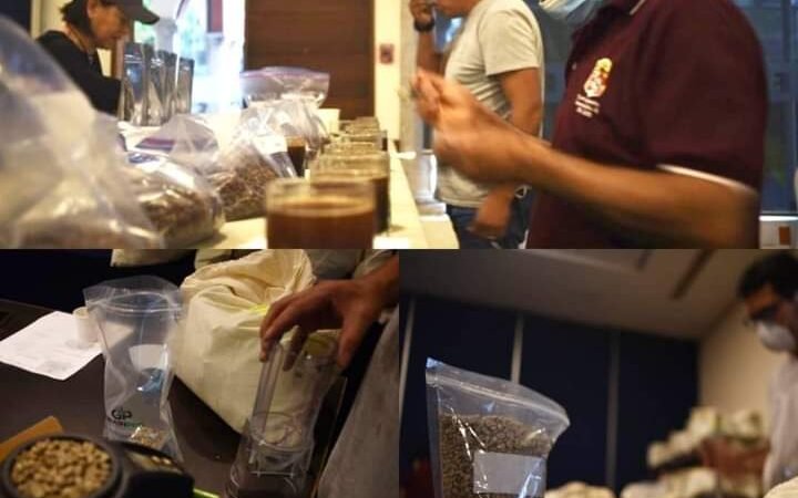 PRODUCTORES DE ZONA HUATUSCO, A LA FINAL DE LA TAZA DE EXCELENCIA