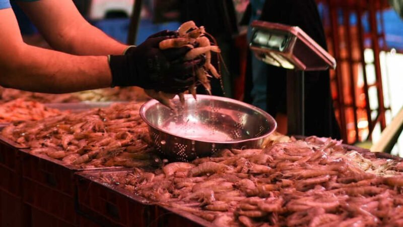 EU HACE OFICIAL EMBARGO CONTRA CAMARÓN MEXICANO; YA NO SE PUEDE EXPORTAR