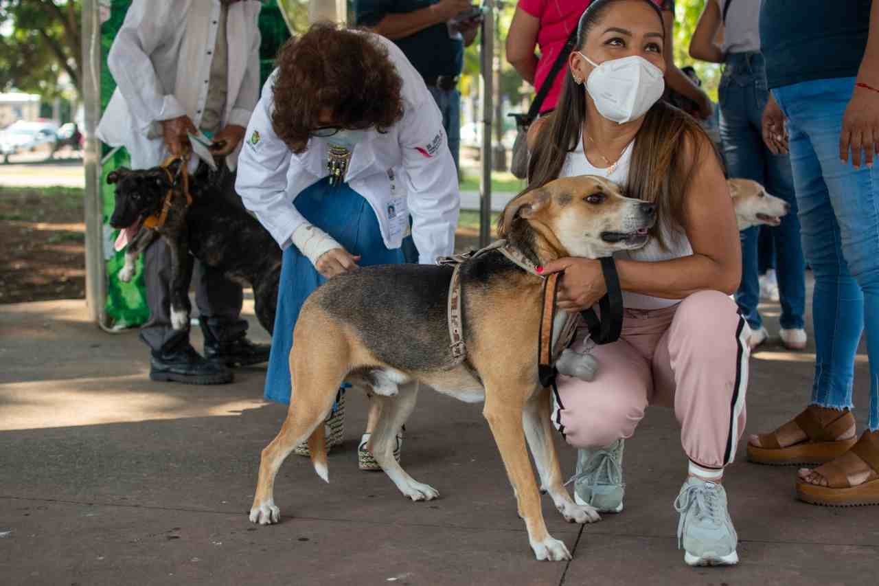 AMPLÍAN PROGRAMA DE VACUNACIÓN ANTIRRÁBICA