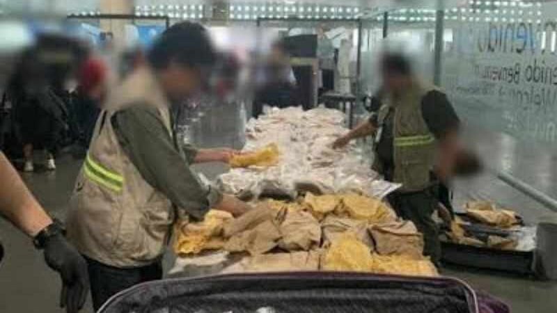 MÉXICO ES LÍDER EN TRÁFICO ILEGAL DE ESPECIES POR VÍA AÉREA