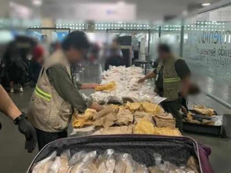 MÉXICO ES LÍDER EN TRÁFICO ILEGAL DE ESPECIES POR VÍA AÉREA