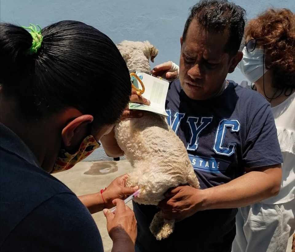 UN ÉXITO, CAMPAÑA ANTIRRÁBICA EN FORTÍN