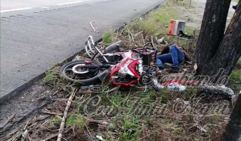 MUERE AL ESTRELLARSE CONTRA ÁRBOL