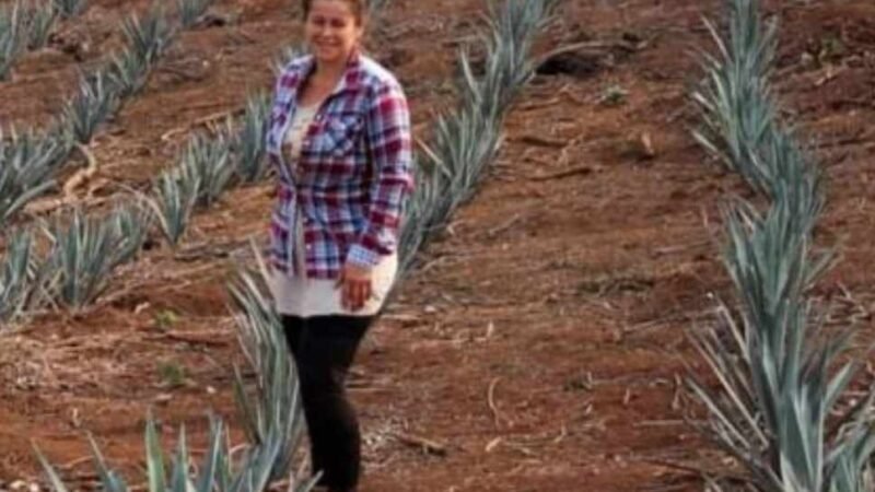 INCURSIONAN EN ZENTLA CON CULTIVO DE AGAVE