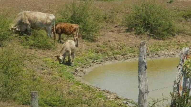 SE AGOTAN CUERPOS DE AGUA