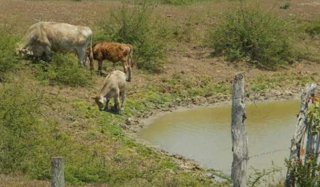 SE AGOTAN CUERPOS DE AGUA