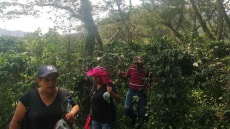 ENCUENTRAN 8 CUERPOS MÁS EN CAMPO GRANDE