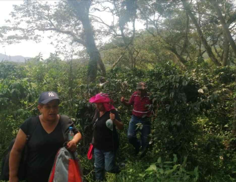 ENCUENTRAN 8 CUERPOS MÁS EN CAMPO GRANDE