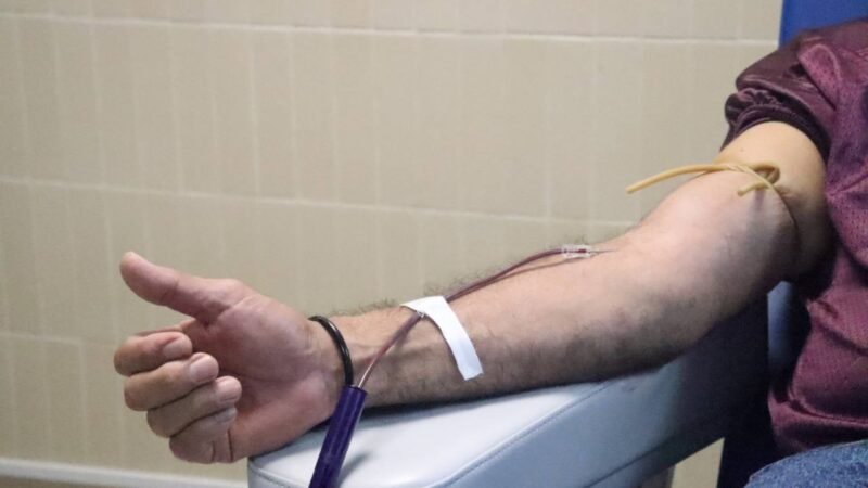 LLAMA IMSS VERACRUZ SUR A DONAR SANGRE DE FORMA ALTRUISTA