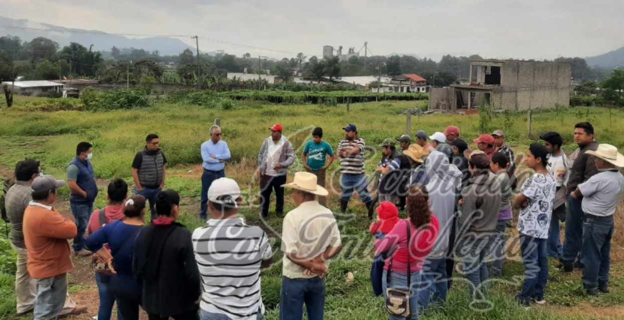 ALCALDE ELECTO DE CHOCAMÁN BUSCA APOYOS PARA RECUPERAR CULTIVOS