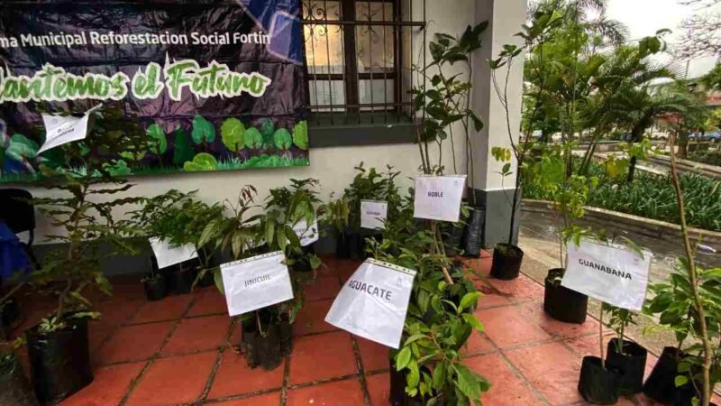 ENTREGAN MÁS DE 400 ÁRBOLES EN FORTÍN