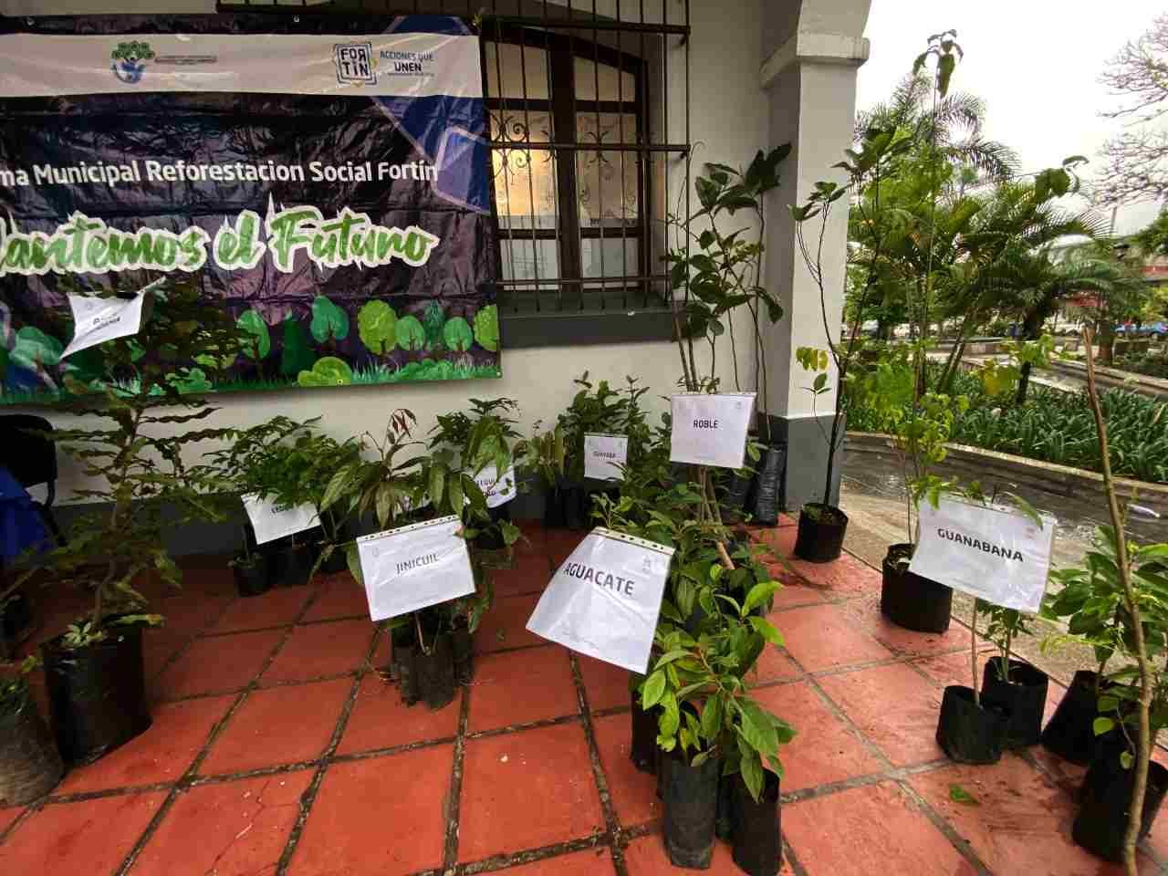 ENTREGAN MÁS DE 400 ÁRBOLES EN FORTÍN