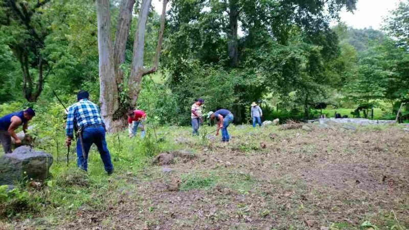 HABRÁ CAMPAÑA DE REFORESTACIÓN EN IXHUATLÁN