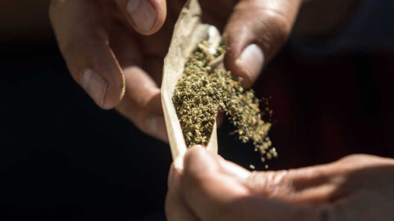 CORTE ANULA PROHIBICIÓN DEL USO LÚDICO DE LA MARIHUANA