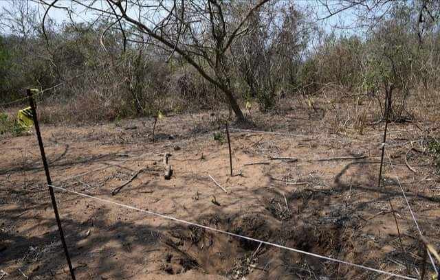 RECUPERAN COLECTIVOS 40 CUERPOS DE FOSAS CLANDESTINAS