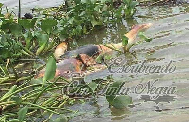 ENCUENTRAN EJECUTADA EN RÍO PAPALOAPAN