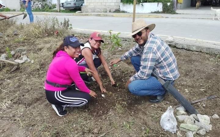 CONTINÚA CAMPAÑA “AVENTÚRATE A ADOPTAR UN ÁRBOL”