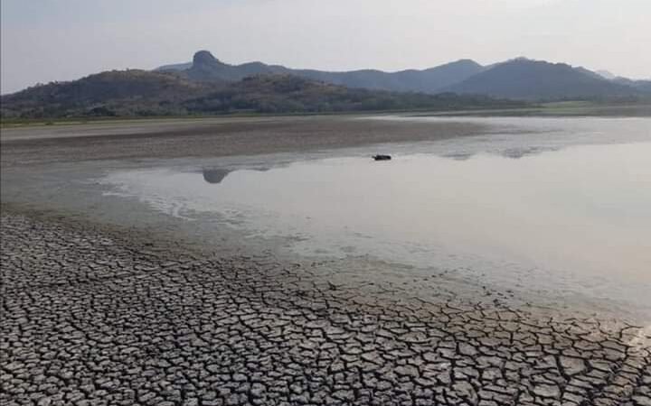 PROPONEN QUE LAGUNA EL FARALLÓN SEA DECLARADA ÁREA NATURAL PROTEGIDA