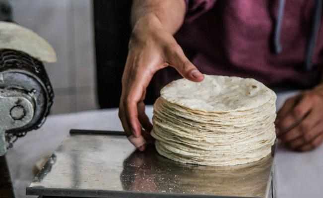 PREVÉN IMPORTACIÓN DE MAÍZ PARA EVITAR AUMENTO EN PRECIO DE TORTILLA