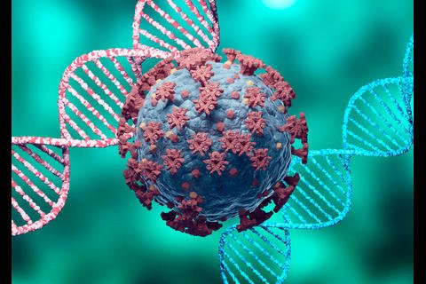 VARIANTE LAMBDA PODRÍA SER TAN TRANSMISIBLE COMO DELTA