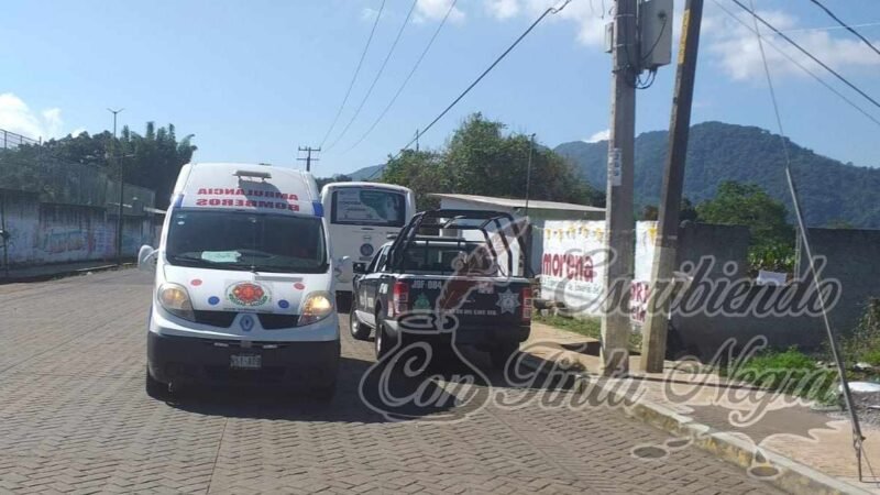 SE MOVILIZAN GRUPOS DE AUXILIO POR MUERTE DE SENECTO