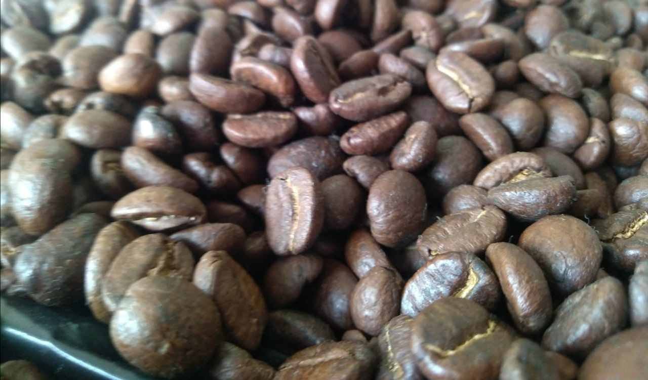 TOMAR CAFÉ REDUCE RIESGO DE CONTRAER COVID-19