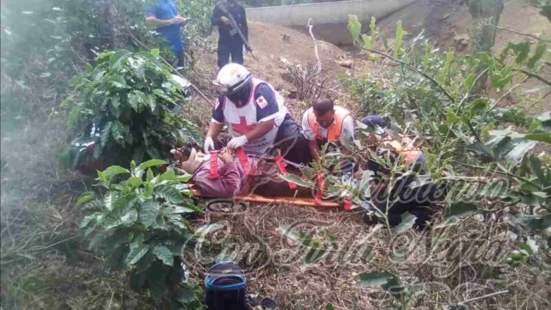 LE CAE ÁRBOL ENCIMA A CAMPESINO