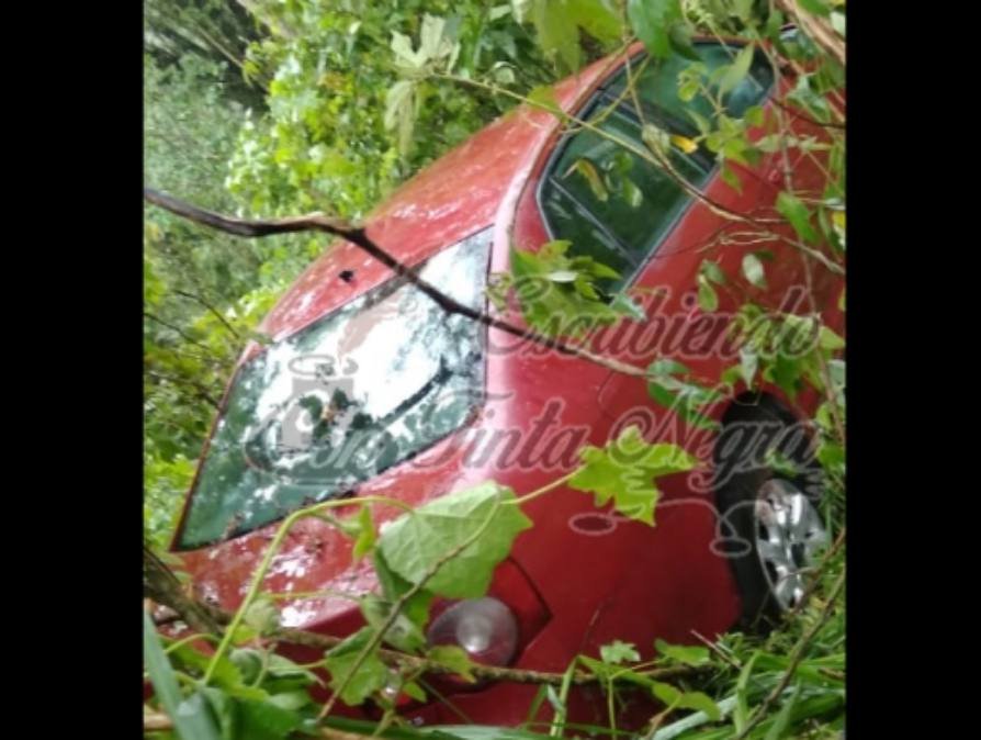 SE SALE BORA DE LA CARRETERA EN BARRANCA DEL JAMAPA