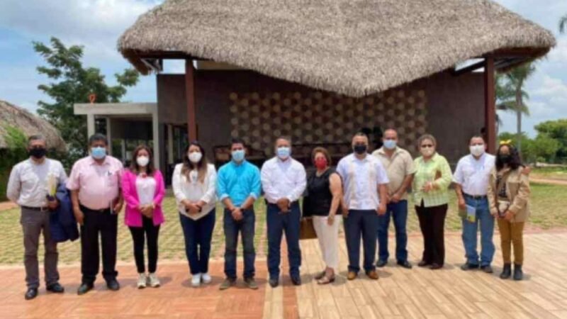 ALERTAN POR AUMENTO DE POBLACIÓN DE LANGOSTA