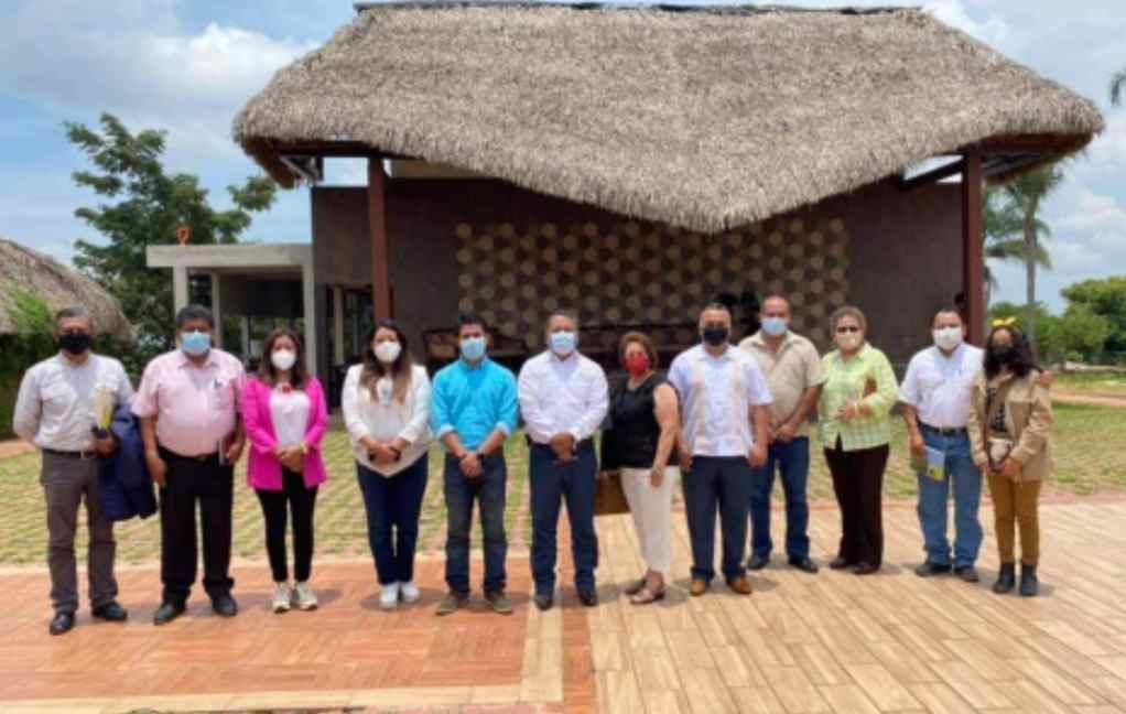 ALERTAN POR AUMENTO DE POBLACIÓN DE LANGOSTA