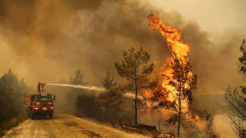 SUMAN OCHO MUERTOS Y MÁS DE 130 FOCOS EN INCENDIOS DE TURQUÍA