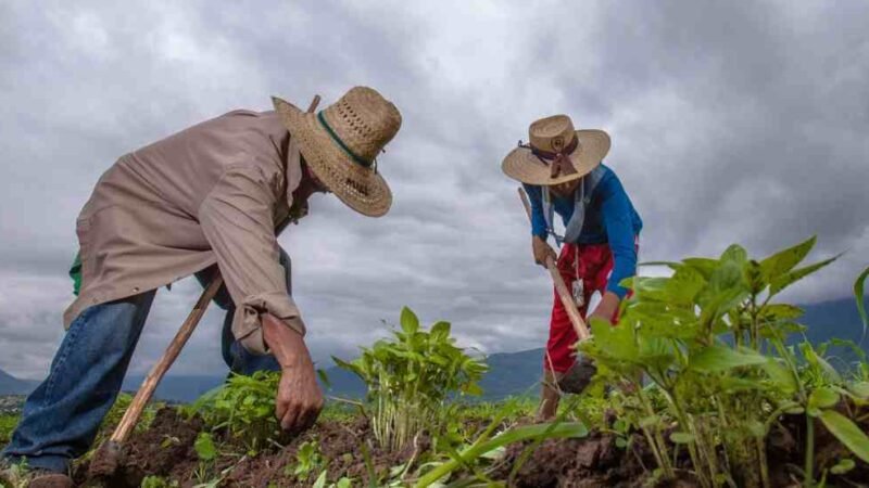 MÉXICO, EU Y CANADÁ TRABAJAN PARA ENFRENTAR EFECTOS DEL CAMBIO CLIMÁTICO EN LA AGRICULTURA