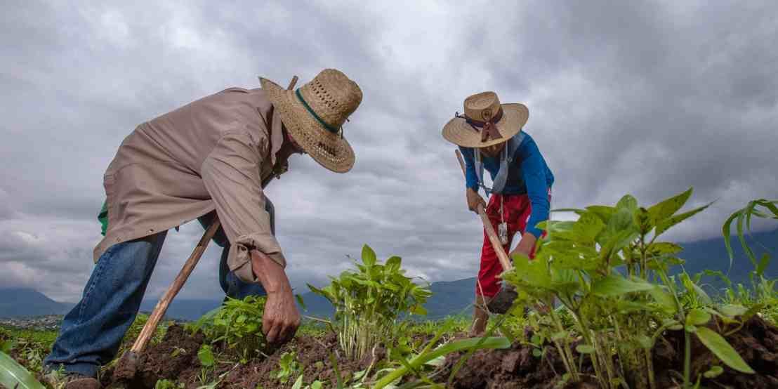 MÉXICO, EU Y CANADÁ TRABAJAN PARA ENFRENTAR EFECTOS DEL CAMBIO CLIMÁTICO EN LA AGRICULTURA