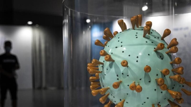 CHINA INSISTE EN BUSCAR LOS ORÍGENES DEL CORONAVIRUS EN OTROS PAÍSES