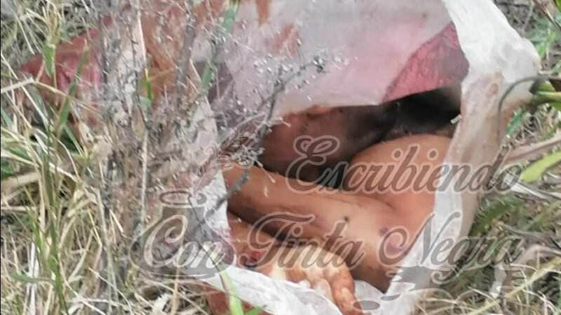 ENCUENTRAN DESCUARTIZADO Y EMBOLSADO EN OMEALCA