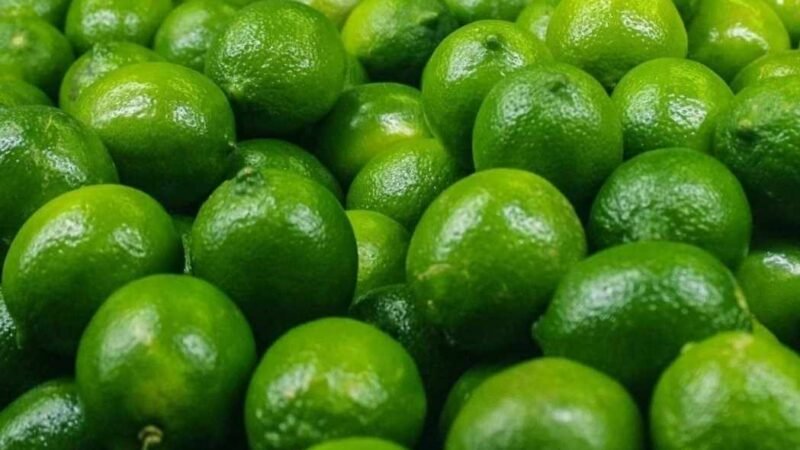 REMONTA PRECIO DEL LIMÓN PERSA