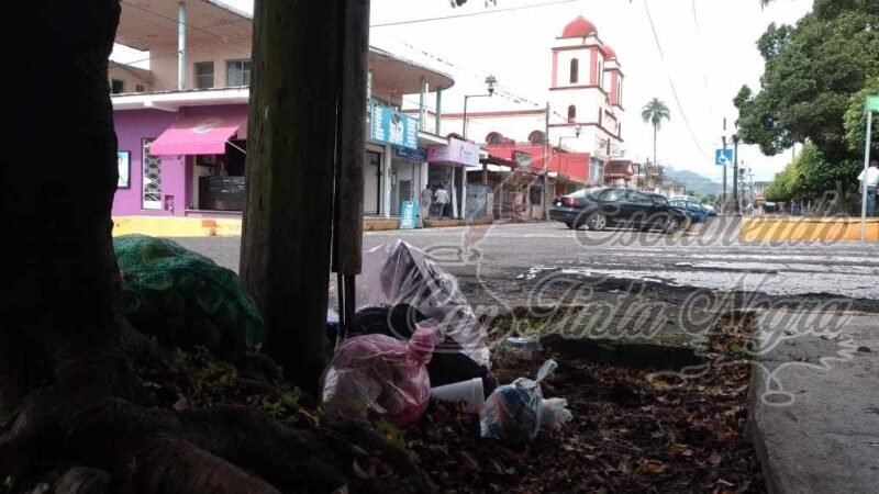 PERSISTEN DEFICIENCIAS EN SERVICIO DE LIMPIA PÚBLICA EN FORTÍN