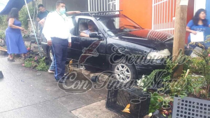 SE ESTRELLA AUTO CONTRA PUESTO DE PLANTAS