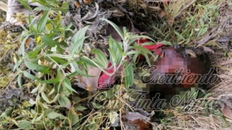 ENCUENTRAN PUTREFACTO EN NOGALES