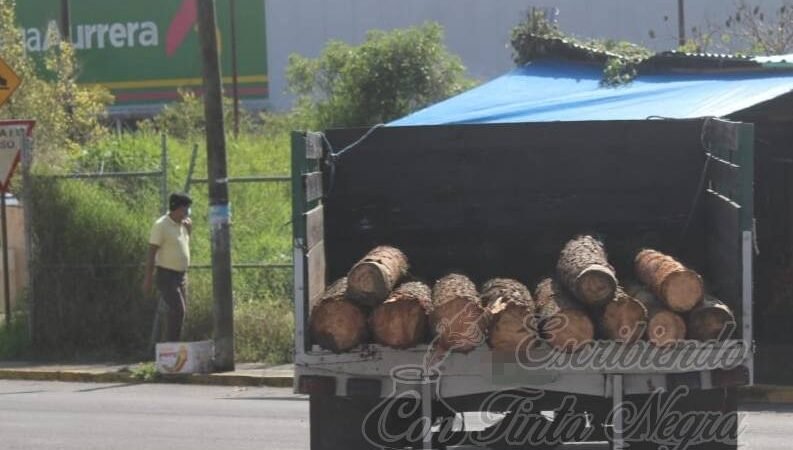 TALADORES DIEZMARON EL PICO DE ORIZABA