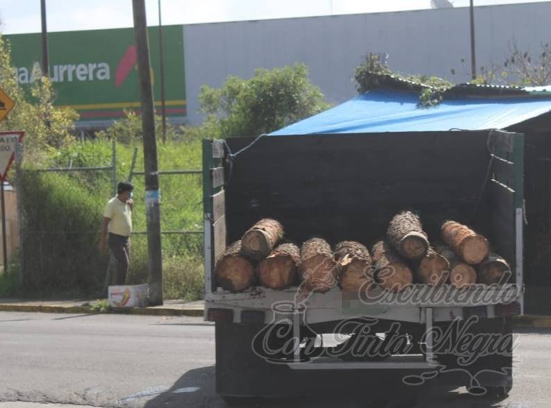 TALADORES DIEZMARON EL PICO DE ORIZABA