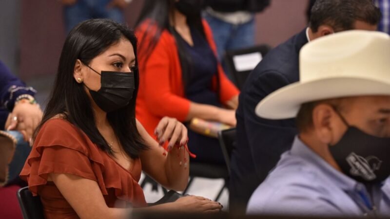 COMISIÓN ESPECIAL PARA PROBLEMÁTICA DE LA DESAPARICIÓN DE PERSONAS, SERÍA PERMANENTE