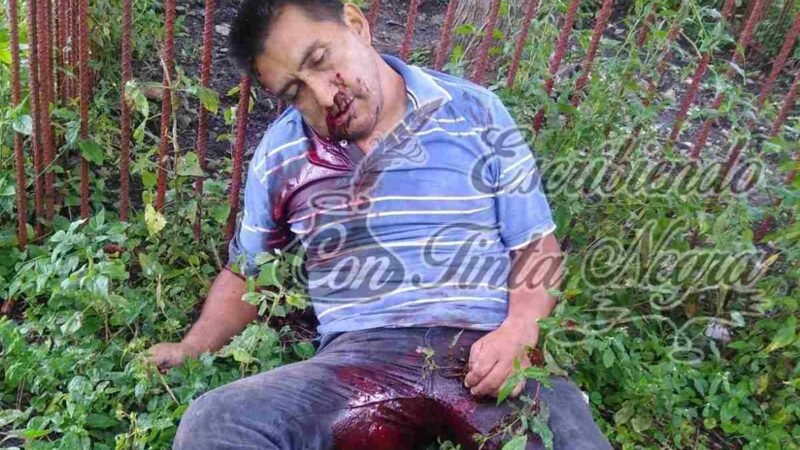 “LO VENADEAN” EN NOGALES