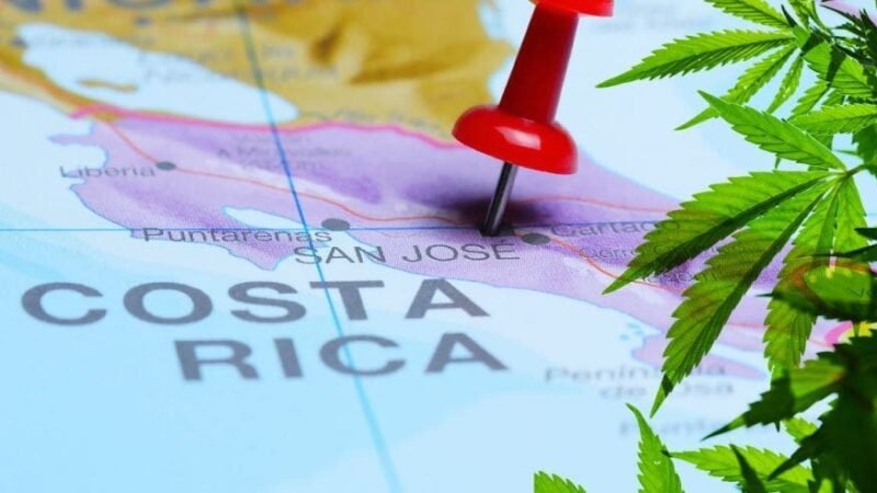 COSTA RICA LEGALIZA MARIGUANA PARA USO MEDICINAL